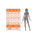 Women' S High Waist Leather Leggings, 22011 Women' S High Waist Leather Leggings, 22011