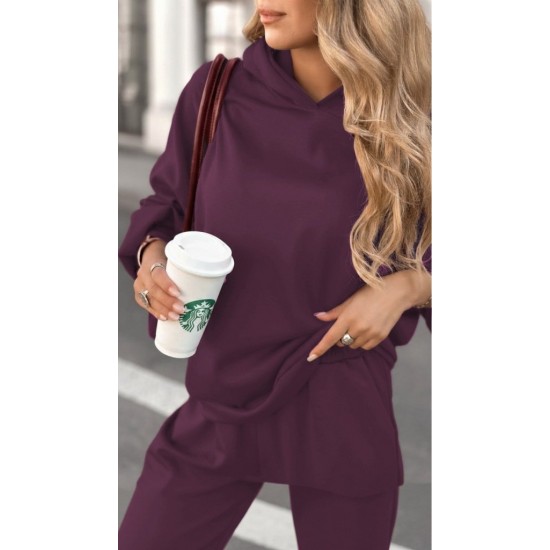 Kadın Uzun Kollu Kapşonlu Viskon Iki Iplik Bluz Ve Pantolon Ikili Takım , 29480 Kadın Uzun Kollu Kapşonlu Viskon Iki Iplik Bluz Ve Pantolon Ikili Takım , 29480