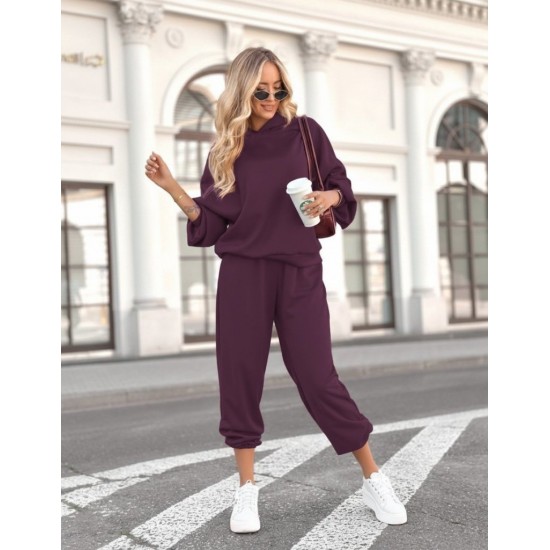 Kadın Uzun Kollu Kapşonlu Viskon Iki Iplik Bluz Ve Pantolon Ikili Takım , 29480 Kadın Uzun Kollu Kapşonlu Viskon Iki Iplik Bluz Ve Pantolon Ikili Takım , 29480