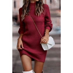 Kadın Uzun Kollu Balıkçı Yaka Mini Triko Elbise , 30139